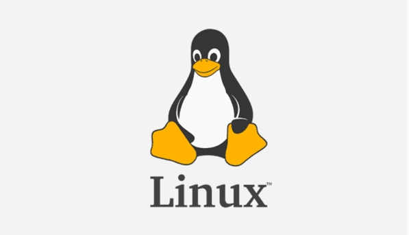 如何设置Linux系统自动磁盘挂载脚本